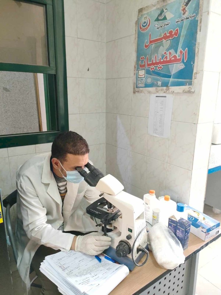 صحة المنيا حملات ميتمرة لمكافحة ناقلات ومسببات الامراض المتوطنة