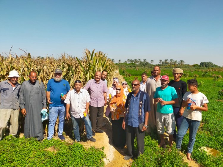 الزراعة:مقاومة العفن الهبابي وسوسة النخيل لدعم المزارعين