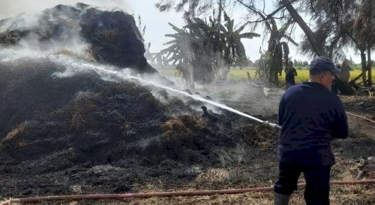 محافظ كفرالشيخ لـ"منبر التحرير": تحرير محاضر لمن يحرقون الأرز