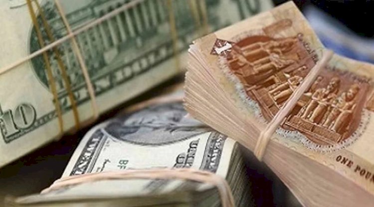 عملات اجنبية بحوزة ثلاثة متهمين بالمنوفية