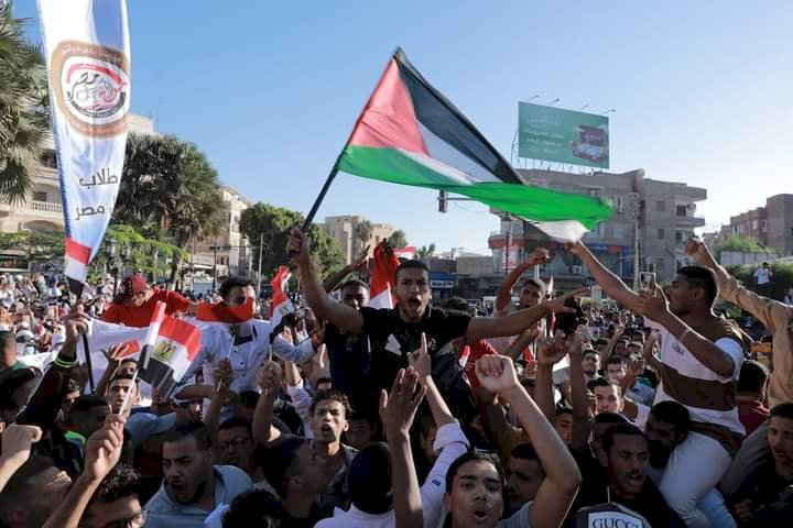 مظاهرات حاشدة في قنا تضامنا مع غزة ودعما لقرارات الرئيس