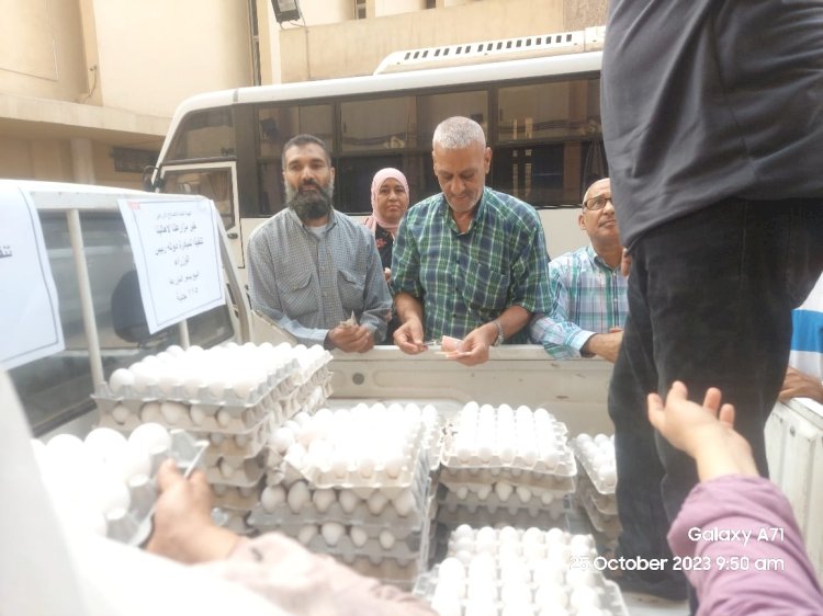 الزراعة: إطلاق ٨ منافذ لبيع البيض بأسعار في متناول الجميع