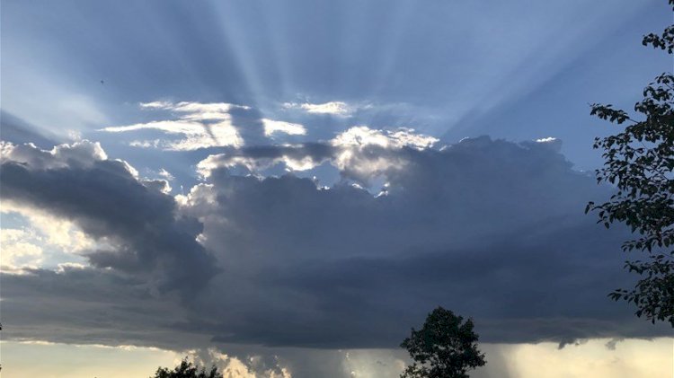 طقس الأحد شبورة كثيفة تصل للضباب وأجواء باردة ليلا