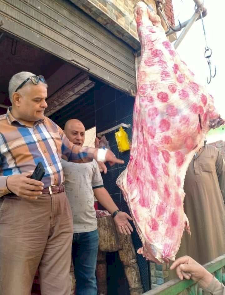 "بيطري المنيا" يحرر 99 محضرا ويضبط لحوما فاسدة خلال أكتوبر الجارى