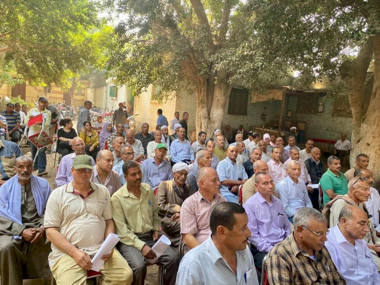 التوسع في زراعة محصول القمح بالمنيا