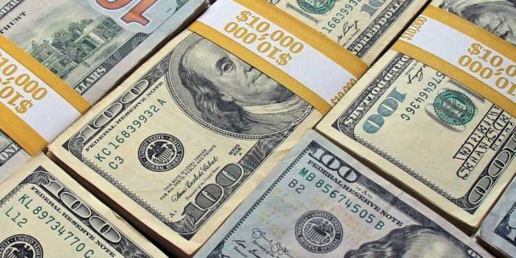 مالك ورشة وشقيقته تجار نقد اجنبي بالغربية