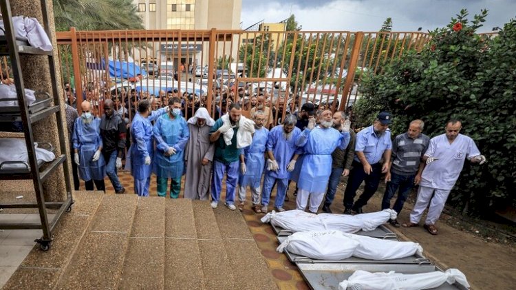 استخراج شهادة وفاه لحقوق الإنسان بعد دفن 179 شهيدا في ساحة مستشفي الشفاء بغزة