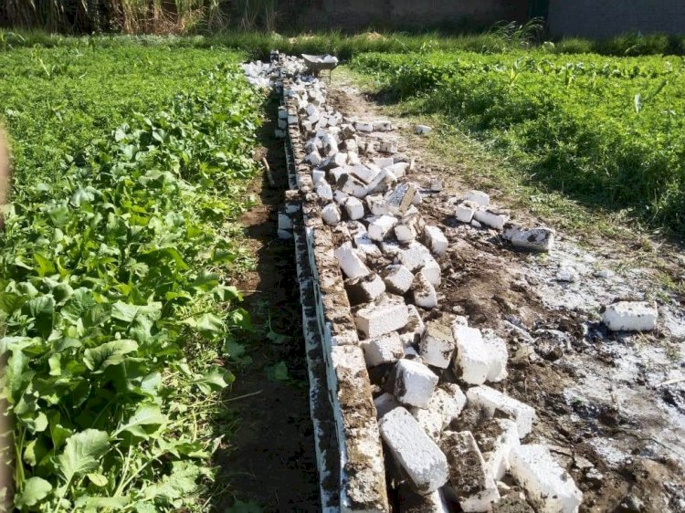 سوهاج تواصل حملات ازالة التعدي علي الاراضي الزراعية