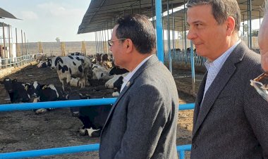منبر