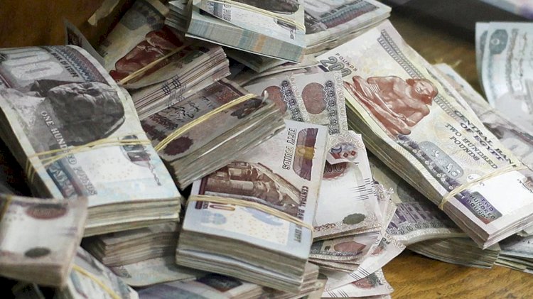 شركة وهمية لتوظيف الاموال بالسادات