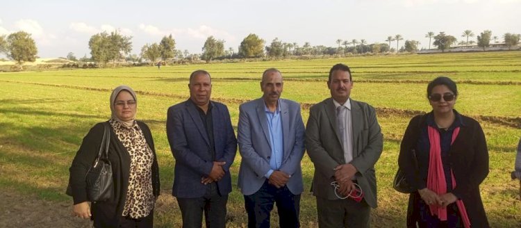 الزراعة تتابع المحاصيل الشتوية وزراعة القمح بالاسكندرية