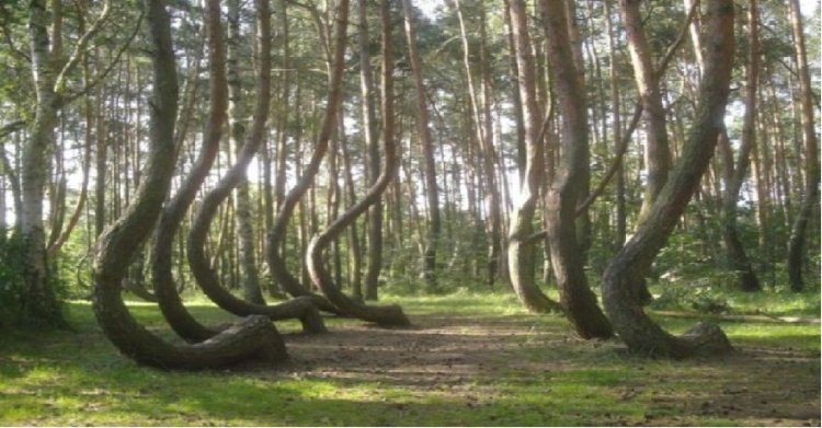 في أحدث دراسة علمية : الأرض علي وشك كارثة عظمي بسبب التغير المناخي