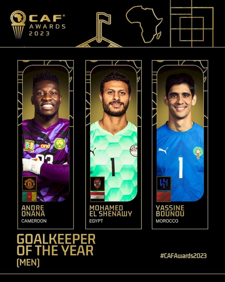 الشناوي في القائمة النهائية لأفضل حارس في إفريقيا