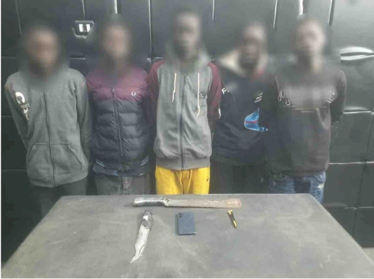 ضبط سارقي السيارات والمساكن والتليفونات المحمولة بالقاهرة