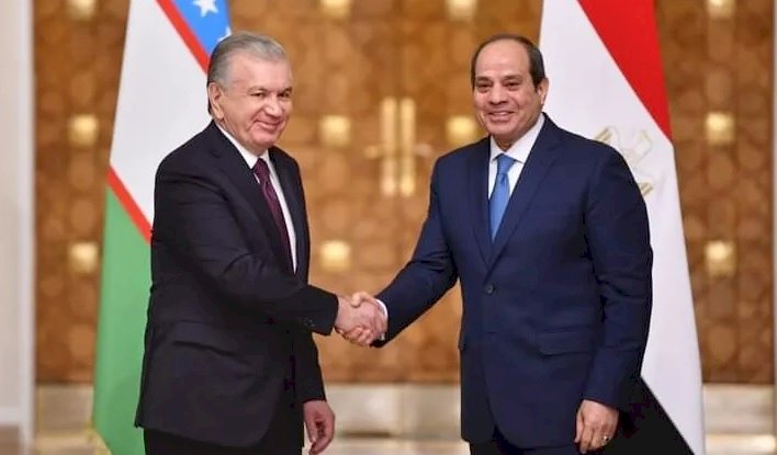ميرضيائيف يهنئ السيسي بمناسبة فوزه في انتخابات الرئاسة