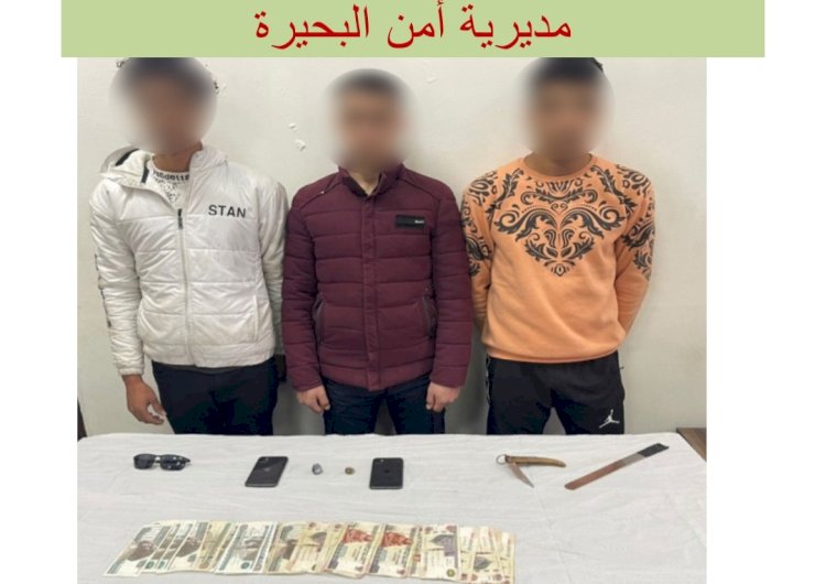 الامن العام يضبط قضايا السرقات في عدة مديريات