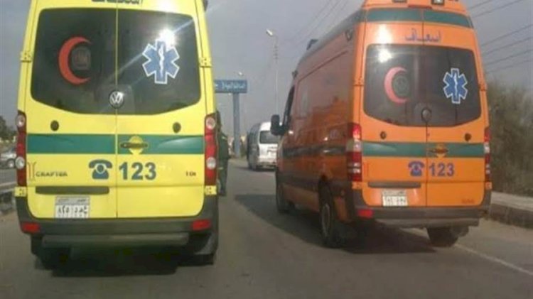 مصرع طالب وإصابة مندوب مبيعات في حادث تصادم بالمنيا