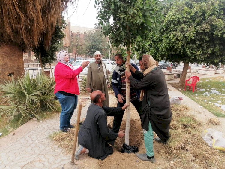 تطوير حديقة ميدان الثقافة بسوهاج