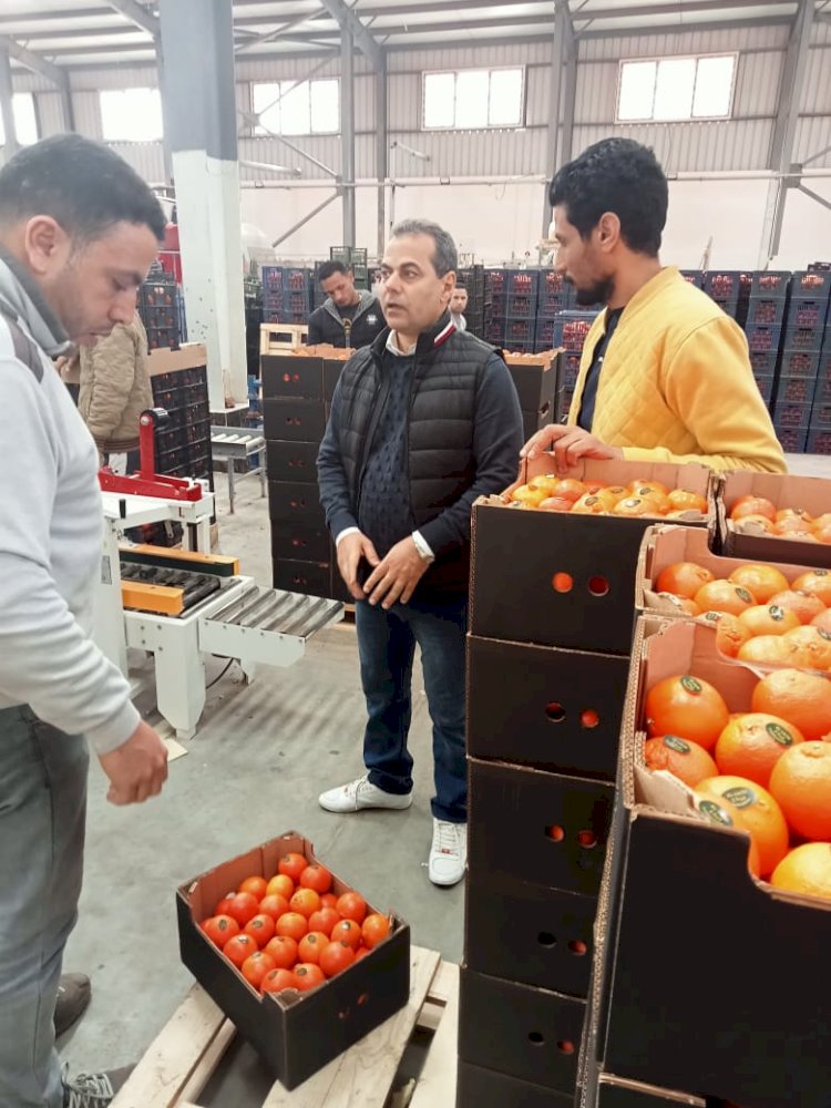 الحجر الزراعي يتابع بداية الموسم التصديري للموالح