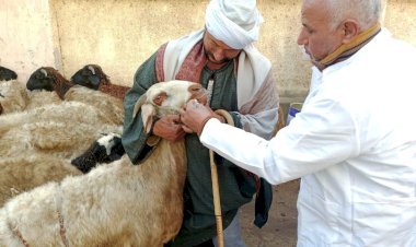 منبر