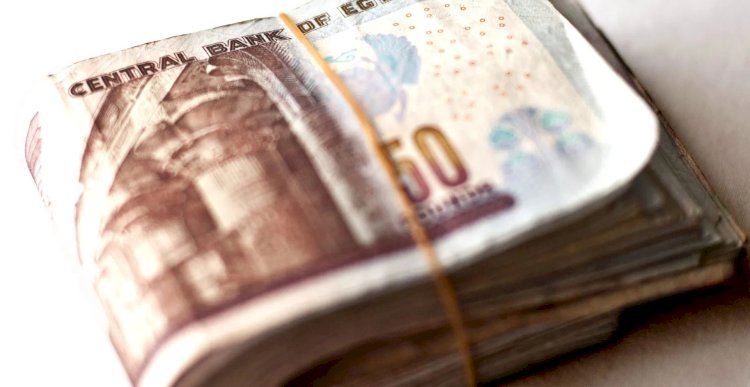 القبض علي ربة منزل لاتهامها بالنصب علي المواطنين بالدقهلية
