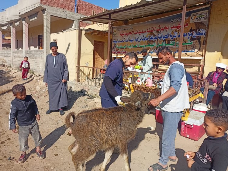 الزراعة:" ٣"الاف مربي استفادوا من القافلة البيطرية المجانية بالفيوم