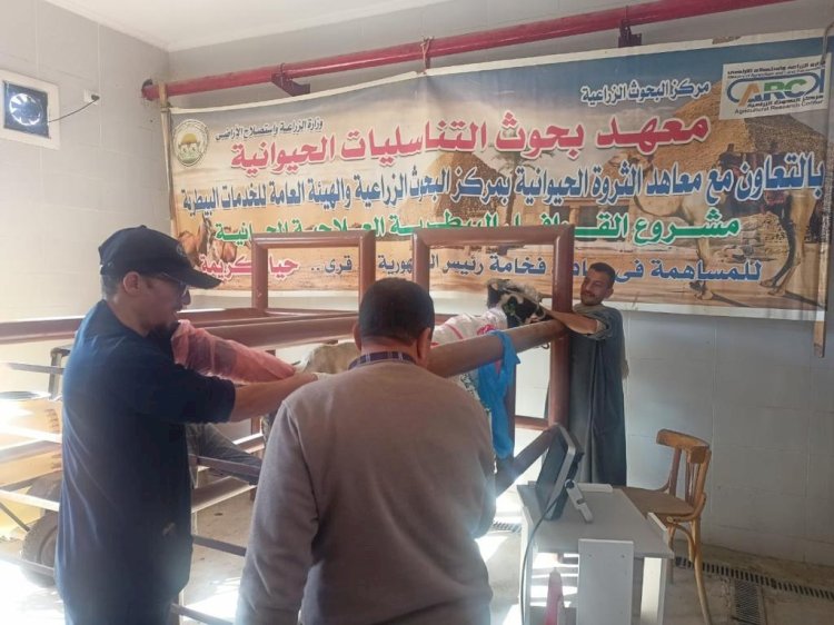 قافلة بيطرية مجانية لعلاج مواشي صغار المربين باسيوط