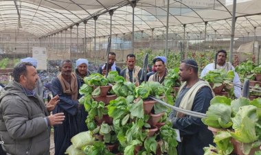 منبر