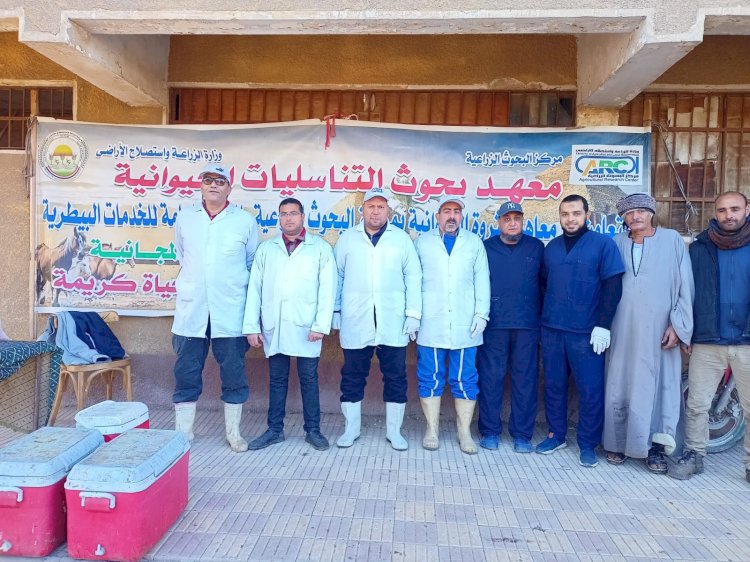 الزراعة تواصل علاج مواشي صغار المربين مجانا