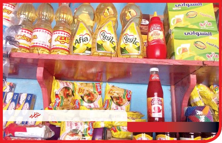 ضبط مصنع بدون ترخيص وتحرير230 محضرا مخالفا خلال حملات تفتيشية بمراكز المنيا