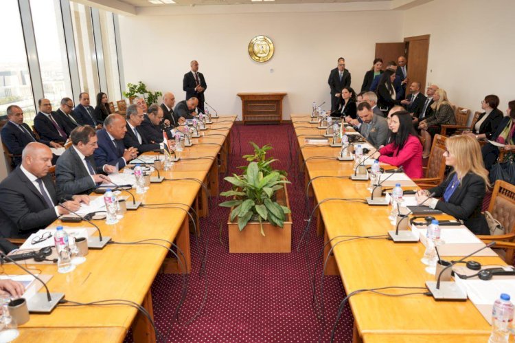 التعاون مع بلغاريا للنهوض بقطاع المشروعات المتوسطة والصغيرة