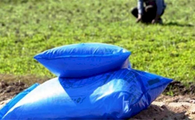 ضبط "١٢٢٧ " طن مكرونة واعلاف حيوانية