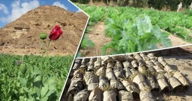 ضبط "٥"تجار مخدرات بالاسماعيلية