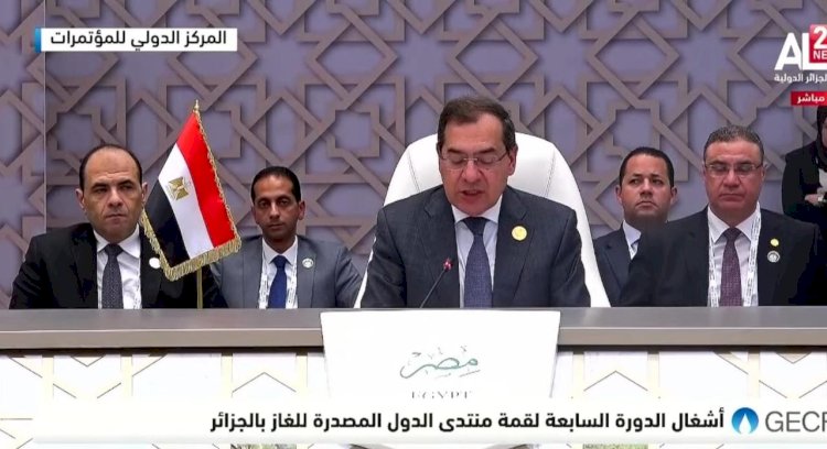 نيابة عن السيسي الملا يلقي كلمة مصر امام منتدي الدول المصدرة للغاز