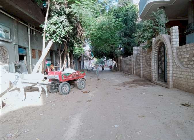 حيوان ضال يُطارد أهالي المنيا.. والأهالي: «طالبنا بنقل مقلب القمامة.. لكن دون جدوى»