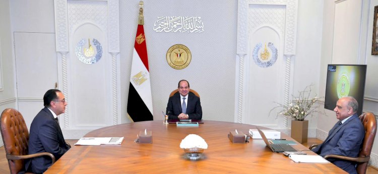 السيسى يوجه بالاستمرار فى تنفيذ خطة تحسين الأداء لشركات قطاع الأعمال