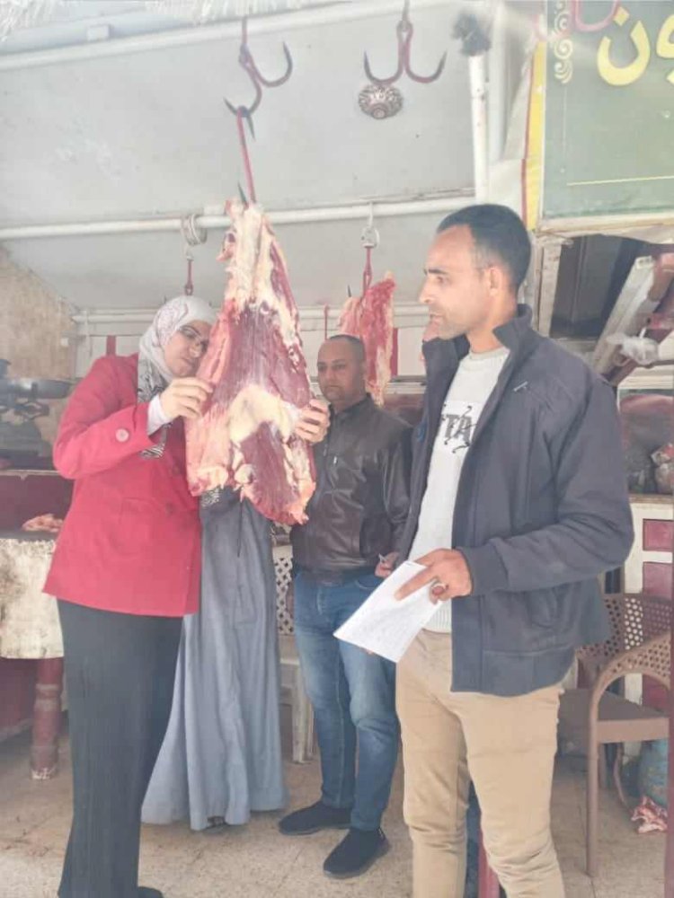 ضبط نصف طن دواجن ولحوم فاسدة خلال حملة تفتيشية بيطرية بمركزين بالمنيا