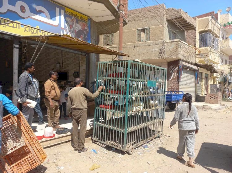 حملات مكثفة لرفع الإشغالات والإعلانات غير المرخصة فى ٣ مراكز بالمنيا