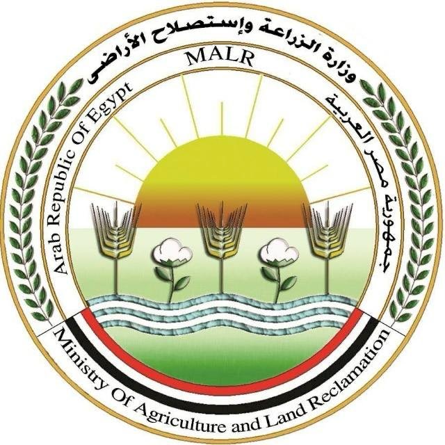 الزراعة تنفي وجود فيروس يؤدي الي نفوق الدواجن