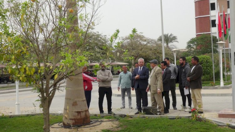 رئيس جامعة المنيا يُجري جولة تفقدية لمتابعة استكمال أعمال التشجير