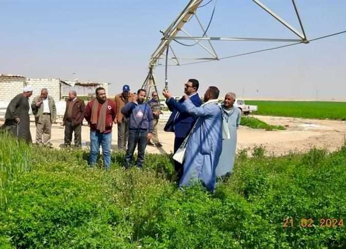 زراعة المنيا تحذر مزارعي القمح من الري والرش