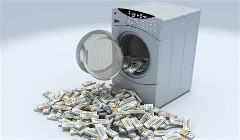 ضبط شخص غسـل 3 ملايين جنيه من النصب والاحتيال