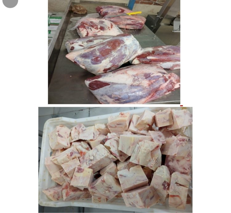 ضبط لحوم مستوردة مجهولة المصدر بالقاهرة