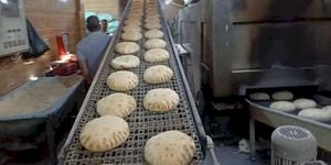 تموين المنيا يضبط ٨٢ مخالفة متنوعة خلال حملات على المخابز البلدية والأسواق