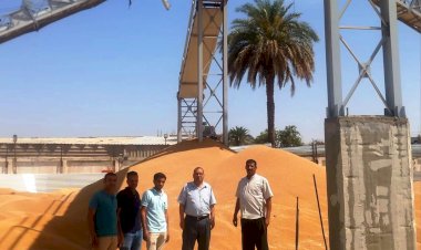 منبر
