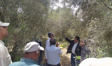 منبر