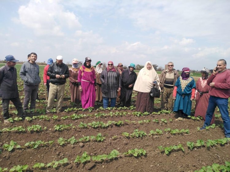 "٨٢٣" مرشد وفني وخبير زراعي شاركوا في الفرق الارشادية الريفية
