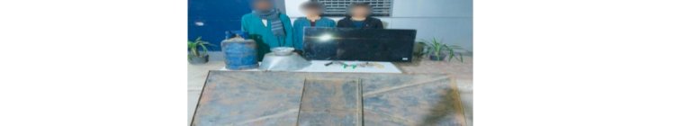 سقوط تشكيلات السرقات بالجيزة