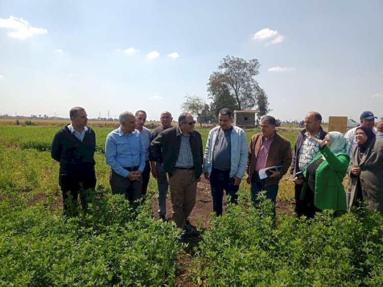 الزراعة تتابع العمل في جميع القطاعات ثالث ايام العيد