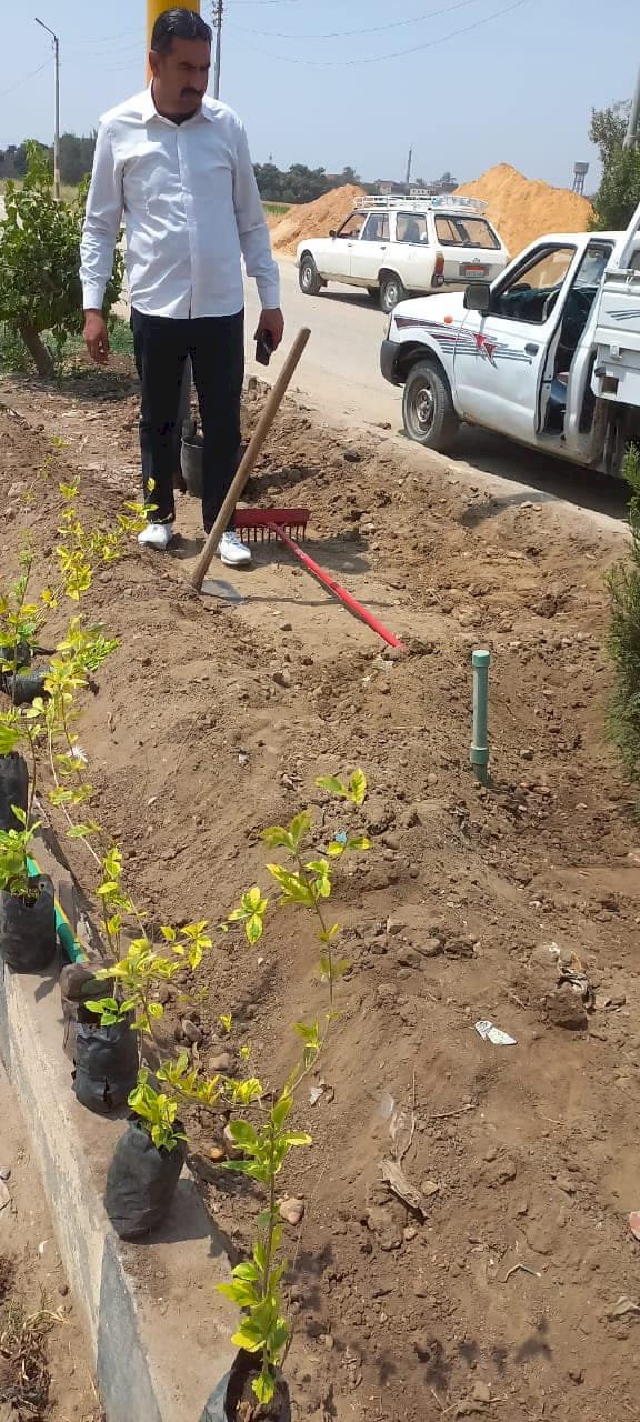 زراعة أشجار مثمرة وأخرى للزينة في مركزين بالمنيا ضمن مبادرة "100 مليون شجرة"